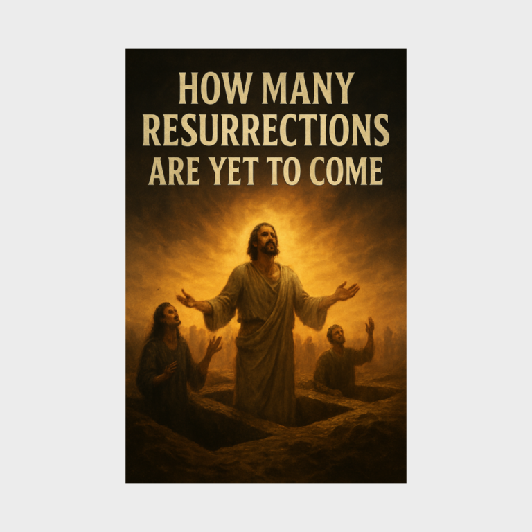 How Many Resurrections are Yet to Come Book Cover