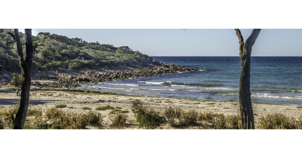 Meelup beach Feature image