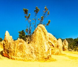 The Pinnacles The Pinnacles in Western Australia