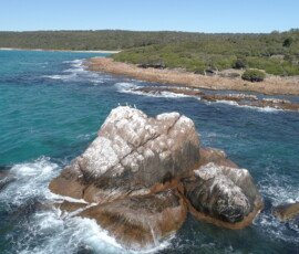 Gannet Rock